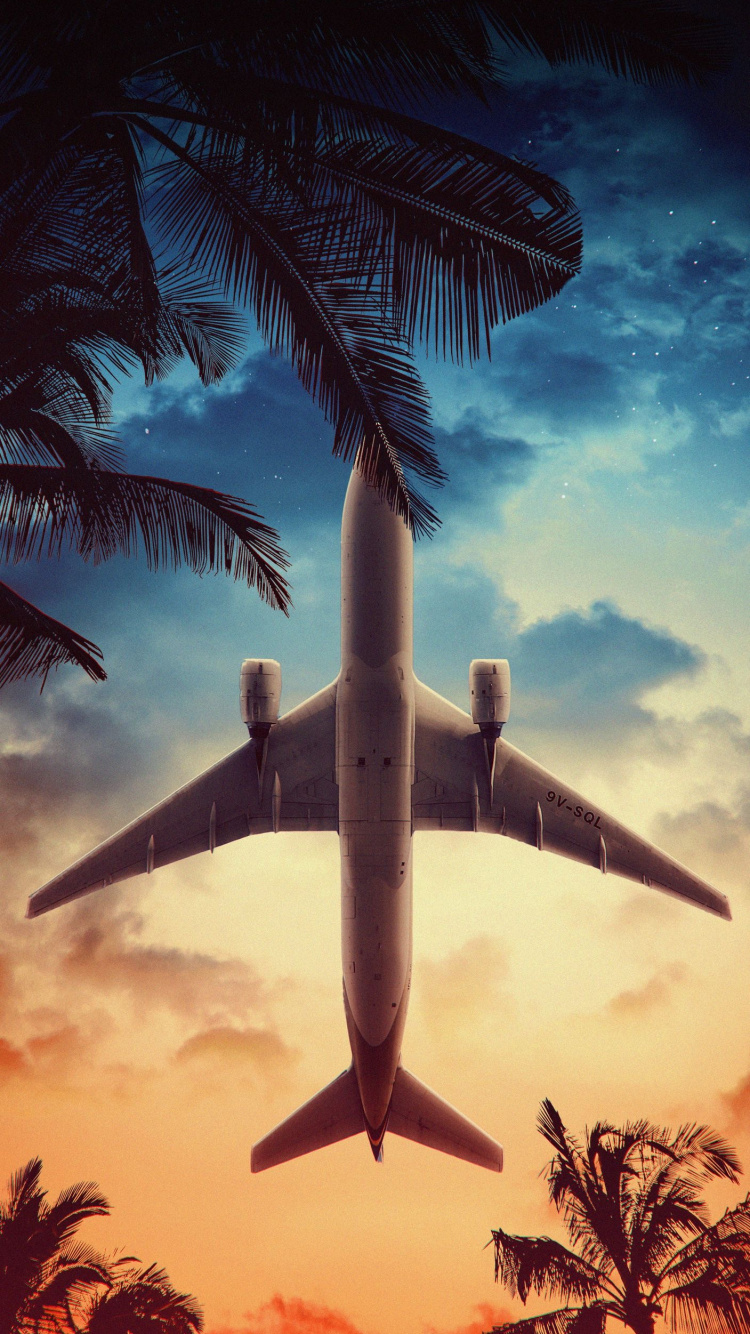 Обои облако, атмосфера, самолеты, самолет, дерево в разрешении 750x1334