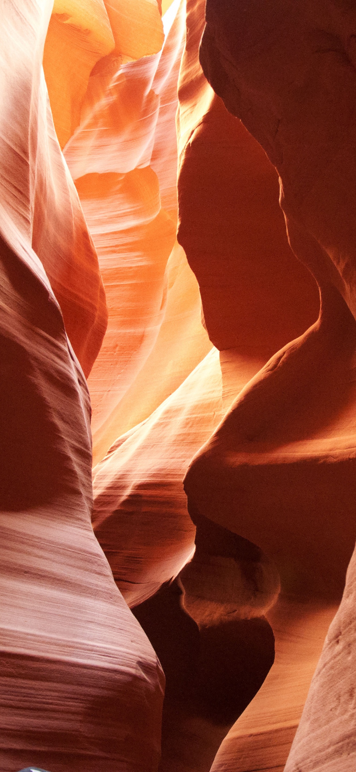 Обои каньон антилопы, большой каньон, каньон, крупный план, лепесток в разрешении 1242x2688