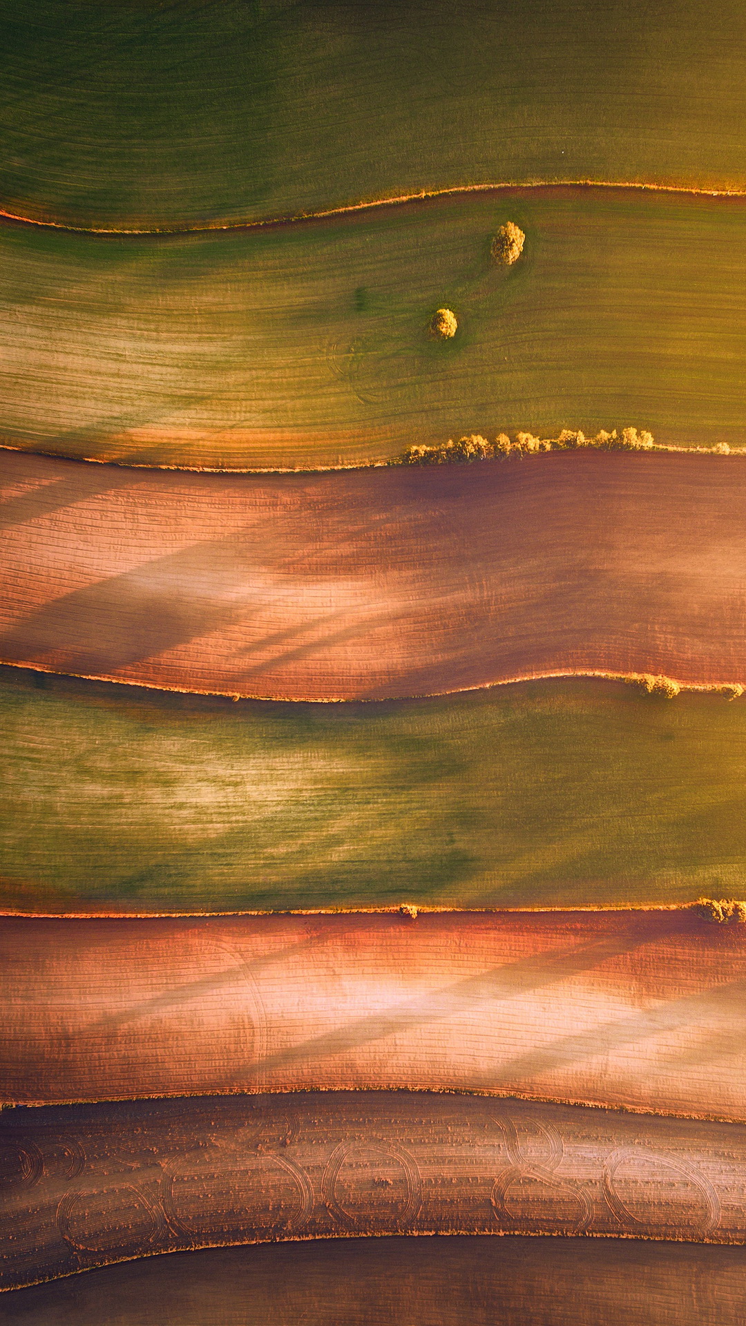 Обои вода, древесина, морилка, экорегион, Оранжевый цвет в разрешении 1080x1920