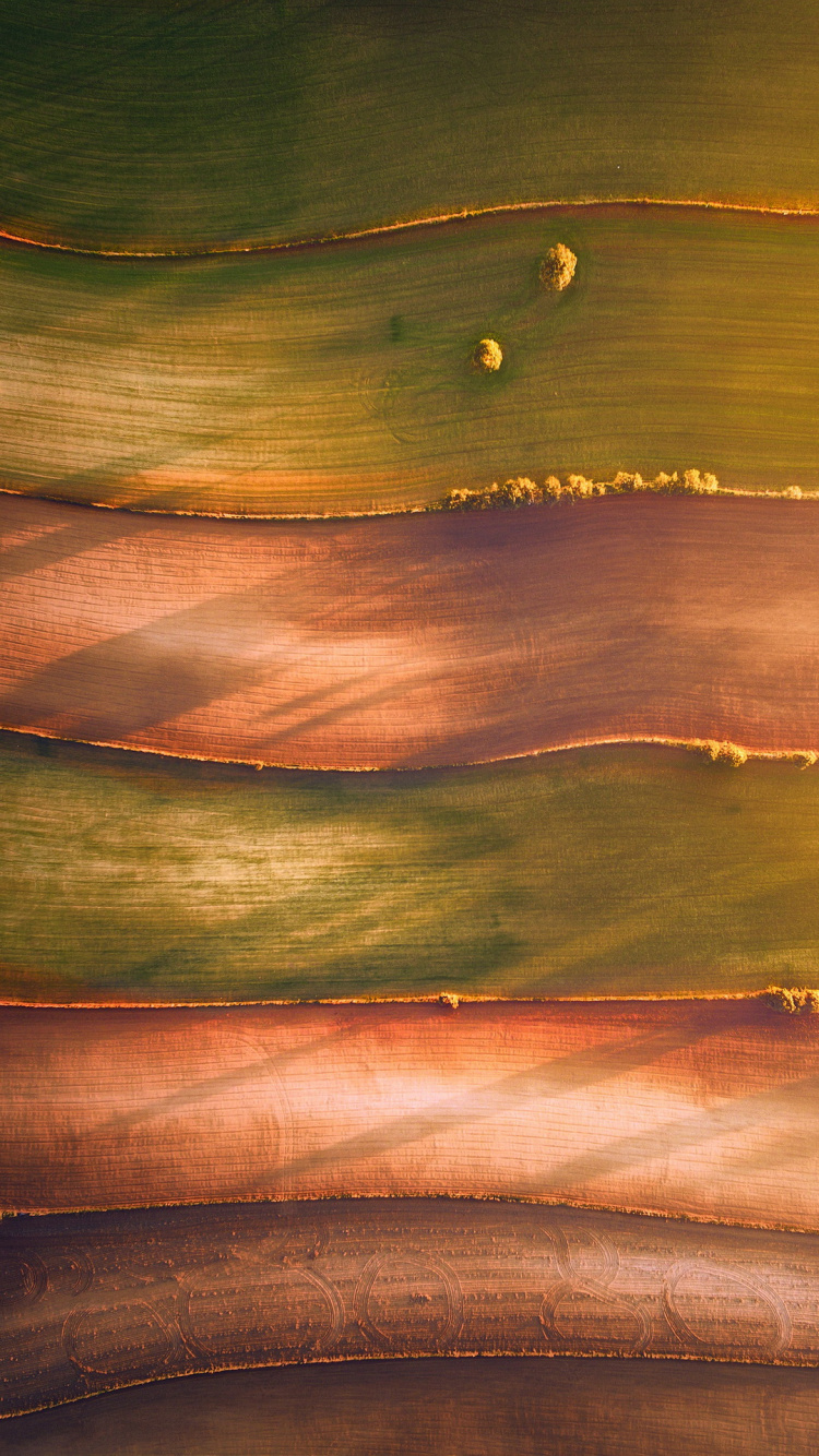 Обои вода, древесина, морилка, экорегион, Оранжевый цвет в разрешении 750x1334