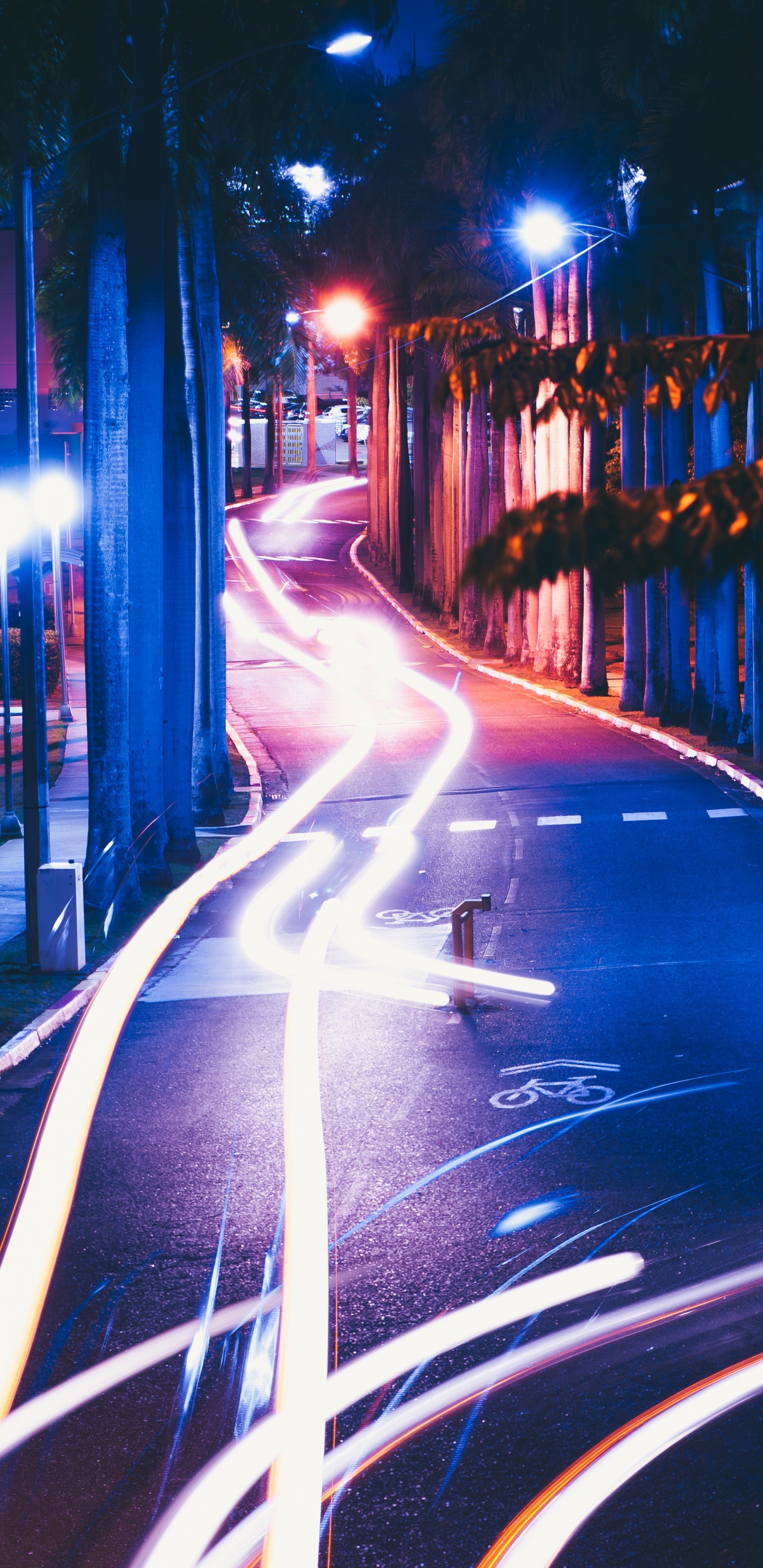 Обои синий, ночь, свет, автомобильное освещение, освещение в разрешении 1440x2960