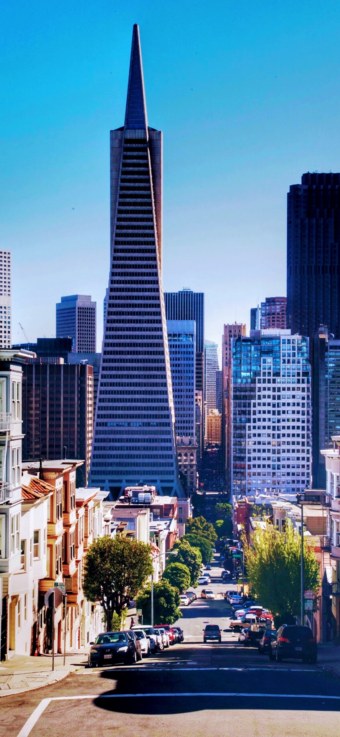 Обои Transamerica Пирамида, здание, небоскреб, дневное время, легковые автомобили в разрешении 1125x2436