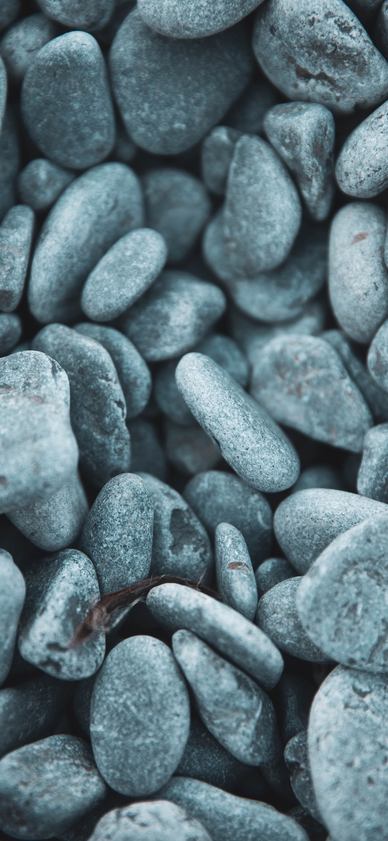 Обои булыжник, черный и белый, крупный план, рок, электрик в разрешении 1242x2688