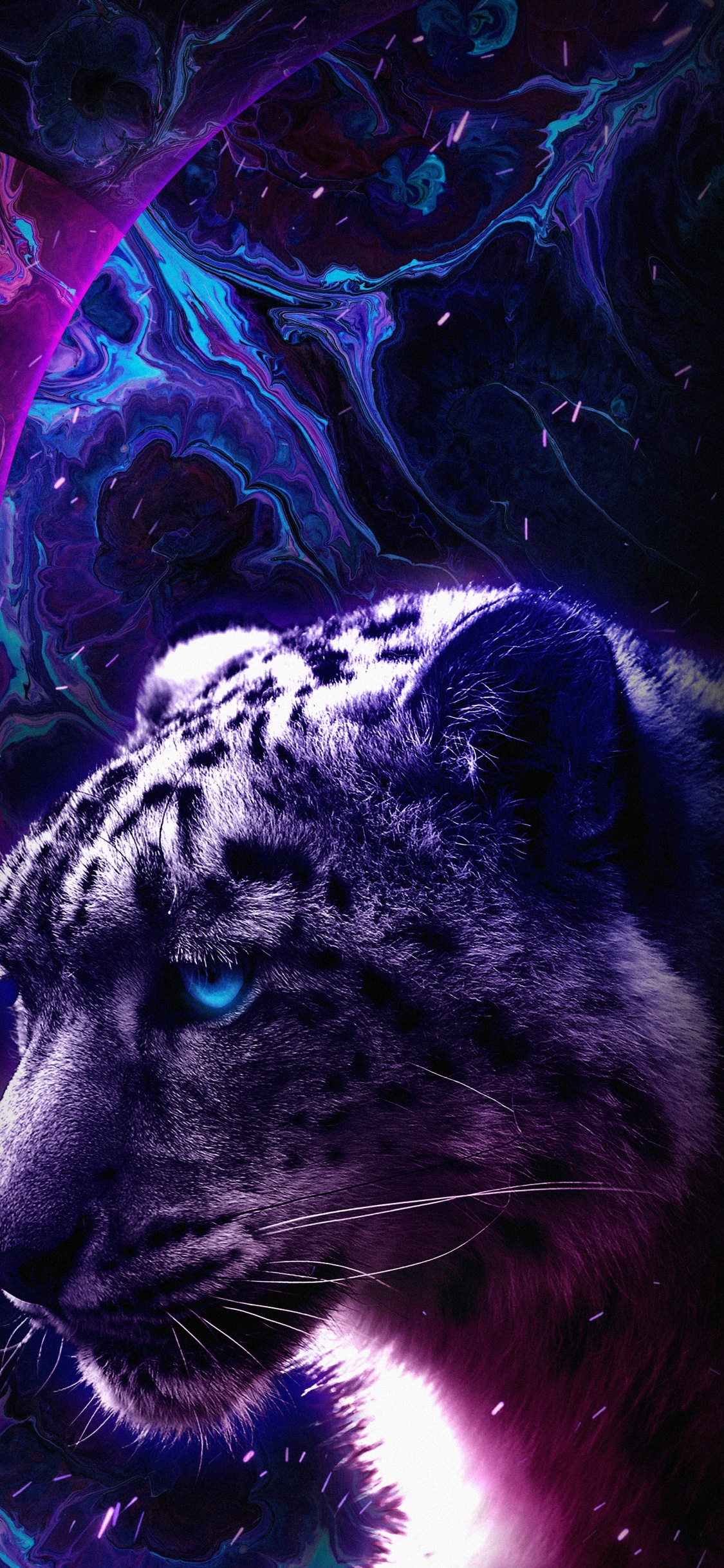 Обои Черная пантера, Тикток, растение, свет, бакенбарды в разрешении 1125x2436