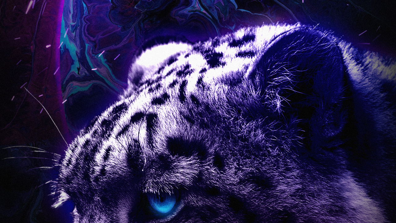 Обои Черная пантера, Тикток, растение, свет, бакенбарды в разрешении 1280x720