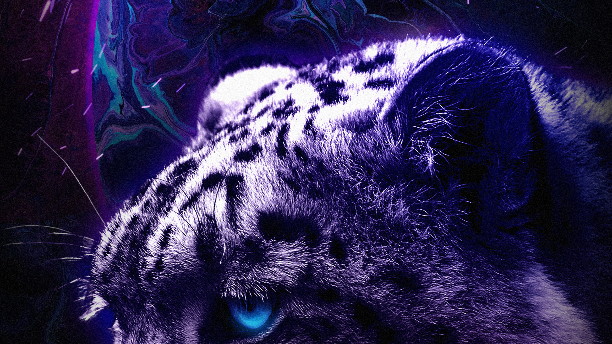 Обои Черная пантера, Тикток, растение, свет, бакенбарды в разрешении 2560x1440