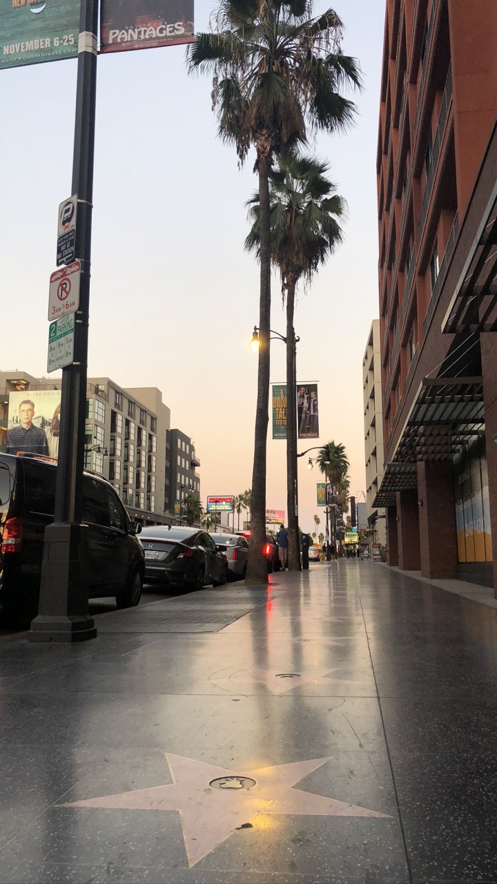 Обои Король, дорога, ночь, жилой район, зима в разрешении 720x1280