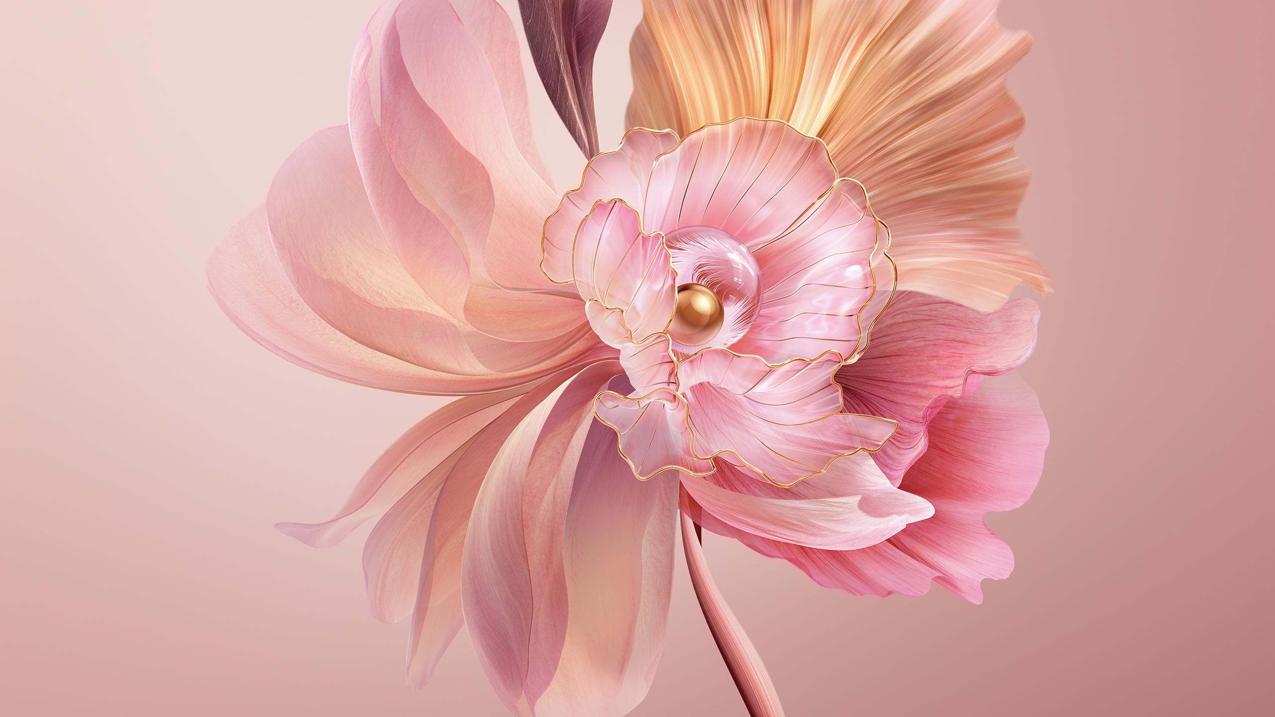 Обои цветок, розовый, цветной, цветочный дизайн, торт в разрешении 2560x1440