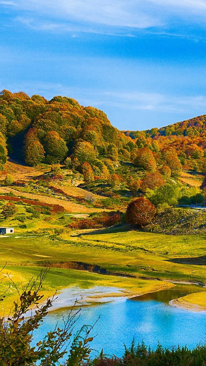 Обои лес, холм, природа, дикая местность, дерево в разрешении 720x1280