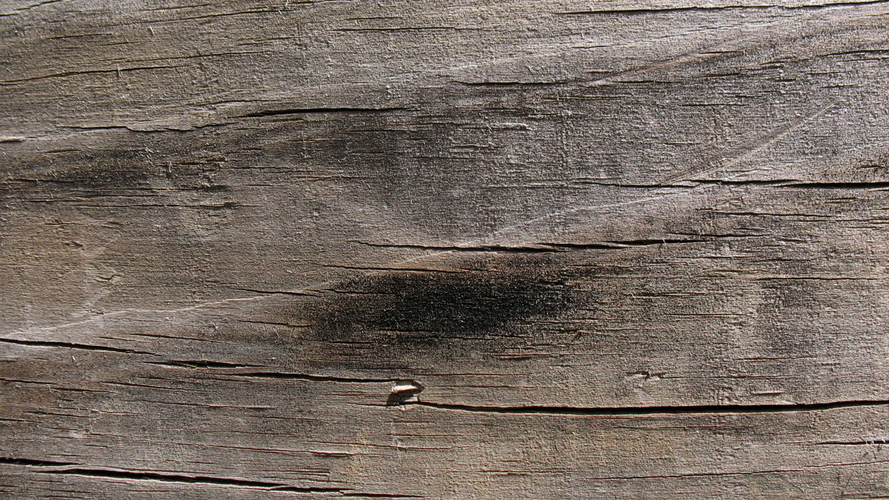 Обои текстура, планка, древесина, коренная порода, обнажение в разрешении 1280x720