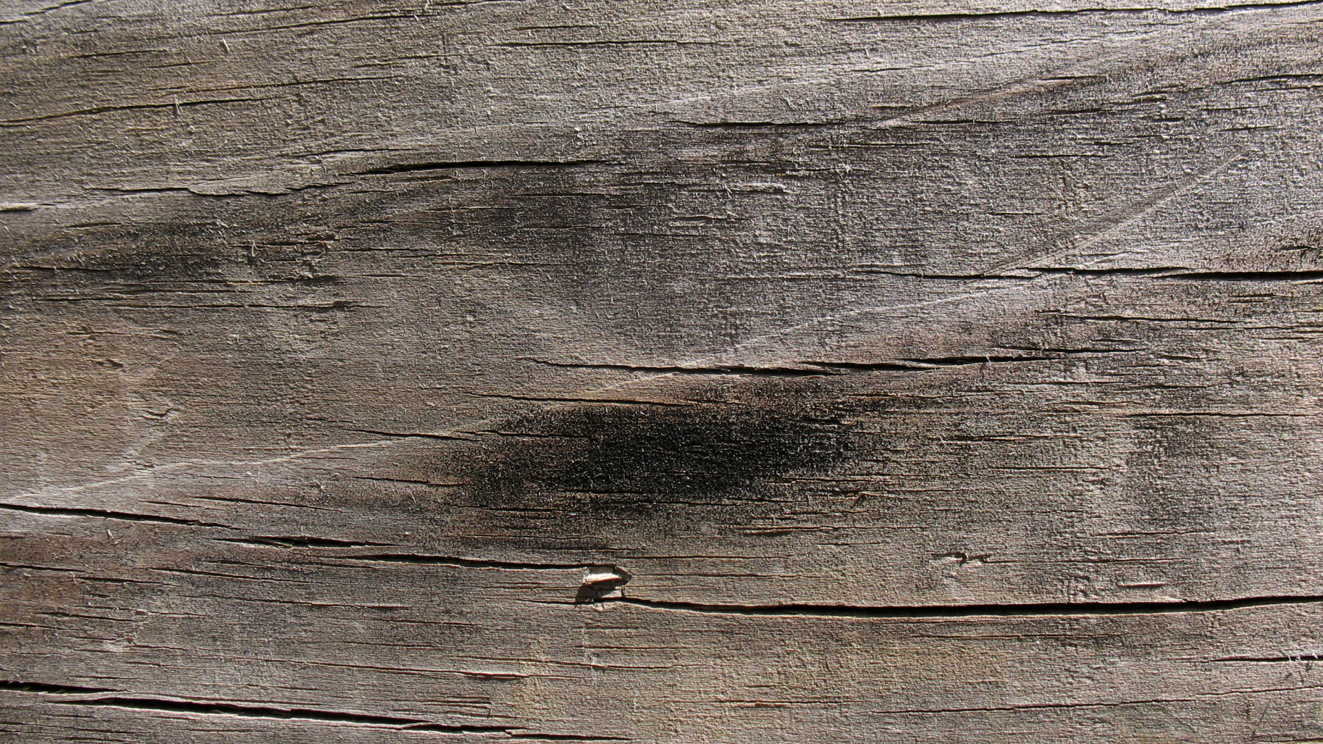 Обои текстура, планка, древесина, коренная порода, обнажение в разрешении 1920x1080