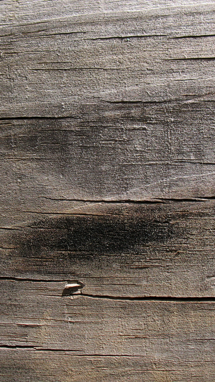 Обои текстура, планка, древесина, коренная порода, обнажение в разрешении 750x1334