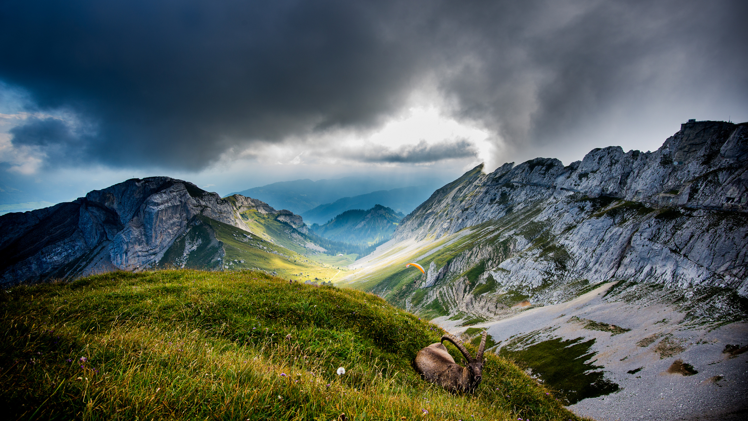 Обои Гора Пилатус, швейцарские Альпы, люцерна, озеро Люцерн, гора в разрешении 2560x1440