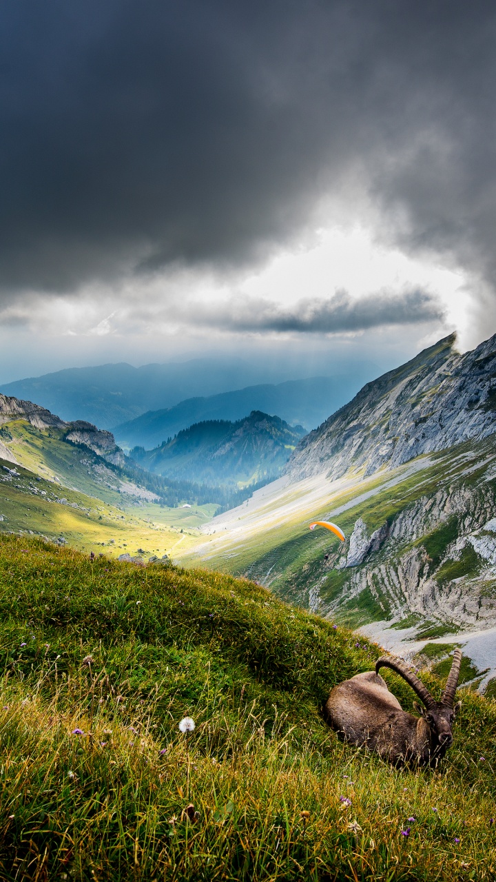 Обои Гора Пилатус, швейцарские Альпы, люцерна, озеро Люцерн, гора в разрешении 720x1280