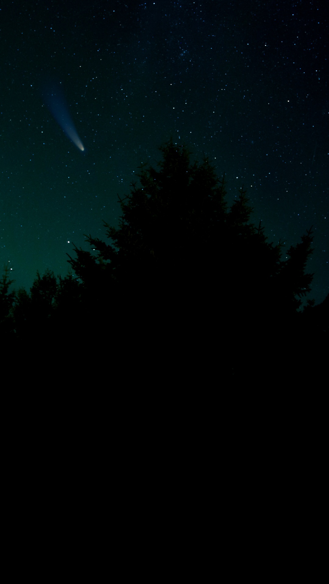 Обои звезда, Астрономия, атмосфера, природный ландшафт, ветвь в разрешении 1080x1920