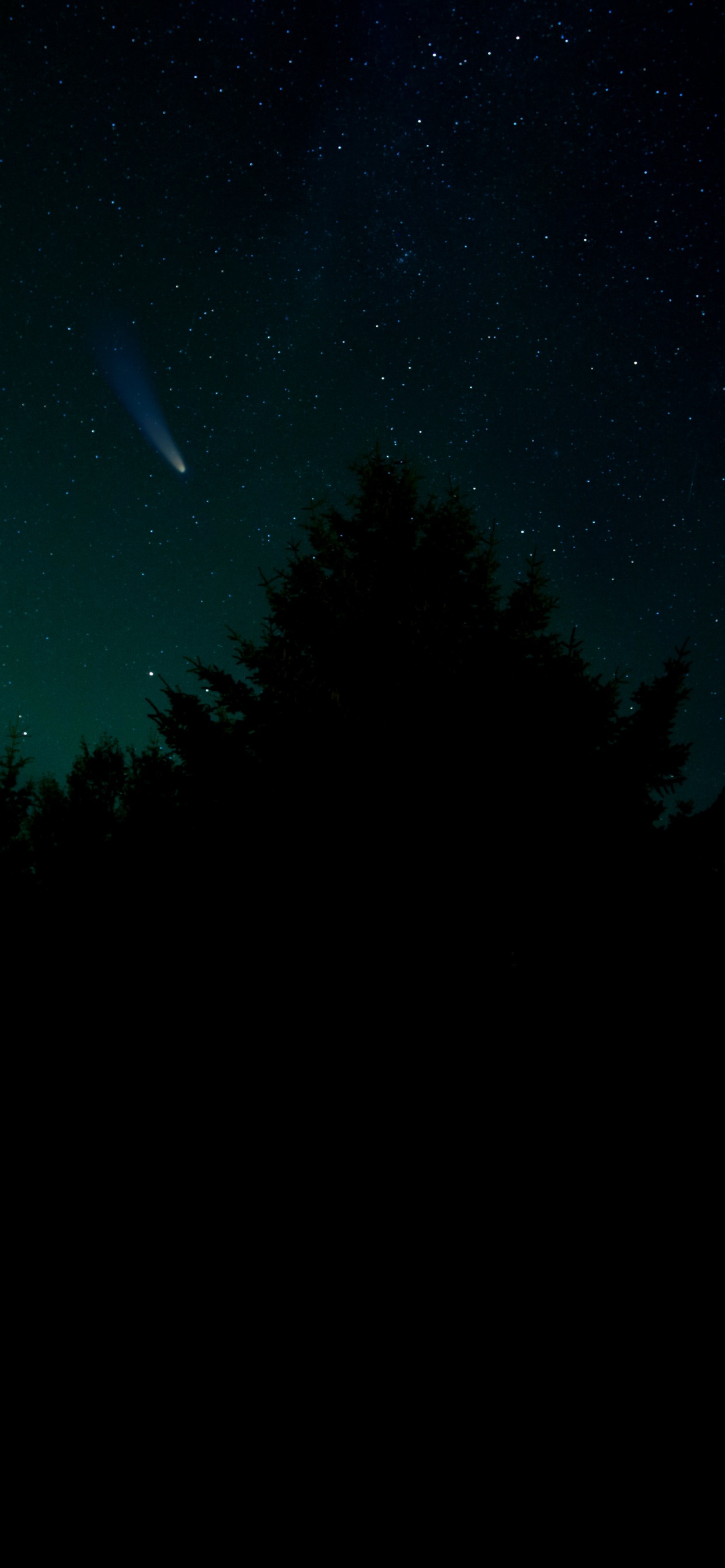 Обои звезда, Астрономия, атмосфера, природный ландшафт, ветвь в разрешении 1242x2688