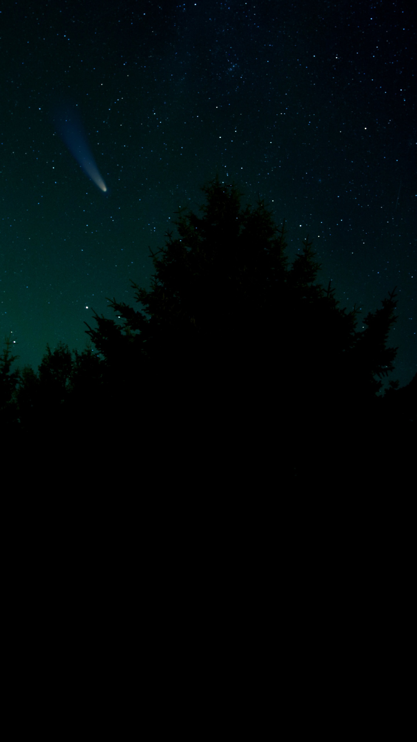 Обои звезда, Астрономия, атмосфера, природный ландшафт, ветвь в разрешении 1440x2560