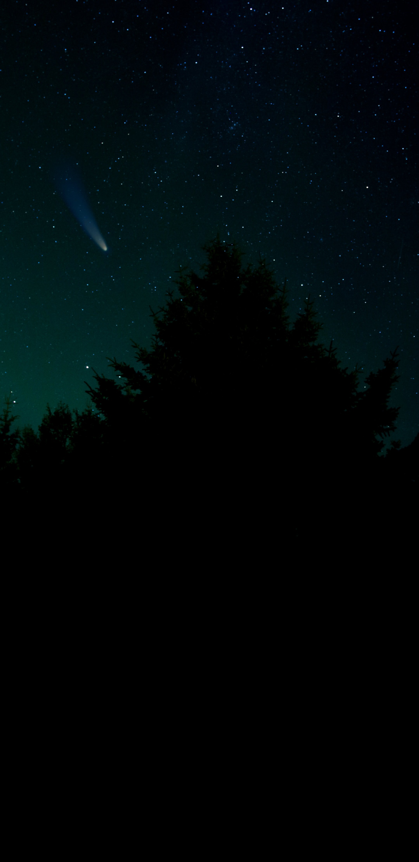 Обои звезда, Астрономия, атмосфера, природный ландшафт, ветвь в разрешении 1440x2960