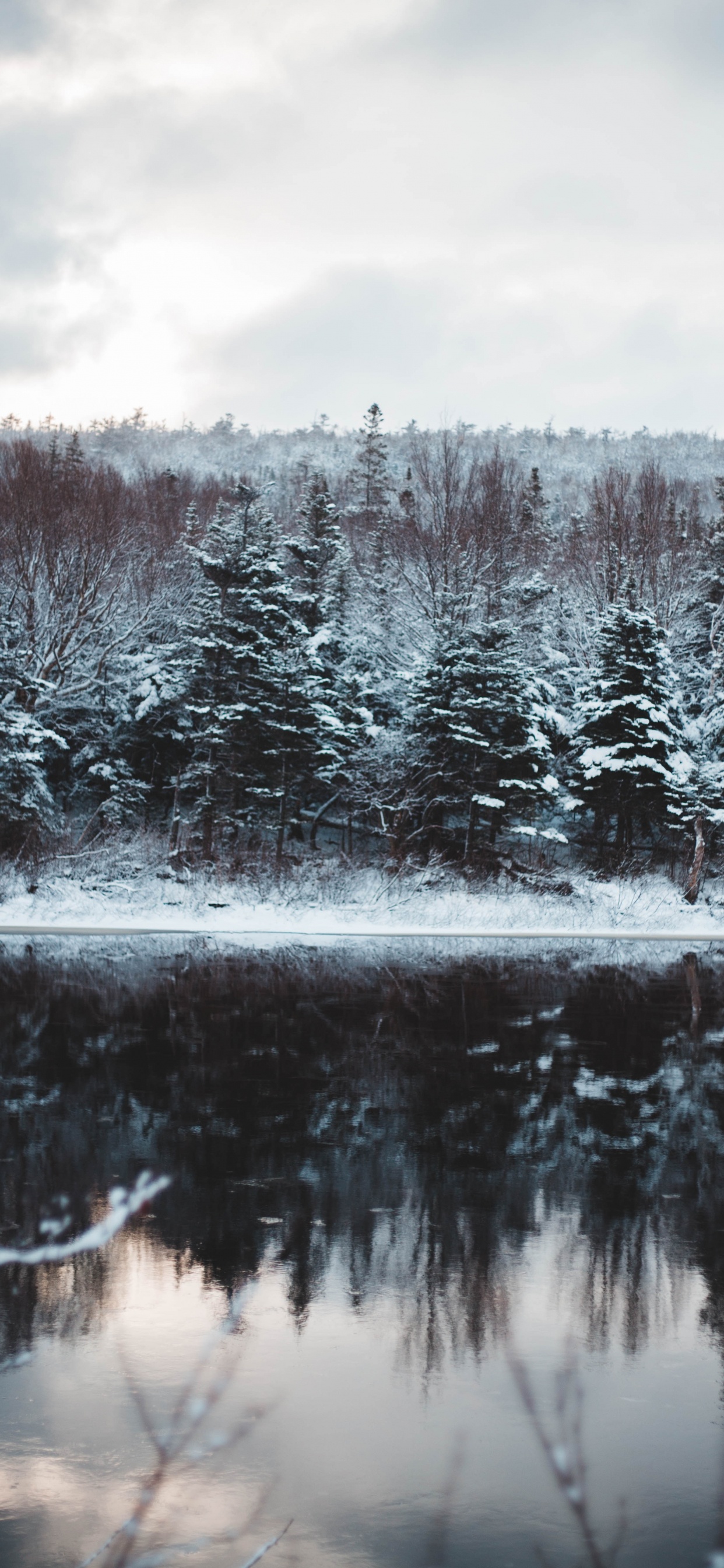 Обои замораживание, природный ландшафт, водоем, пихта, снег в разрешении 1242x2688