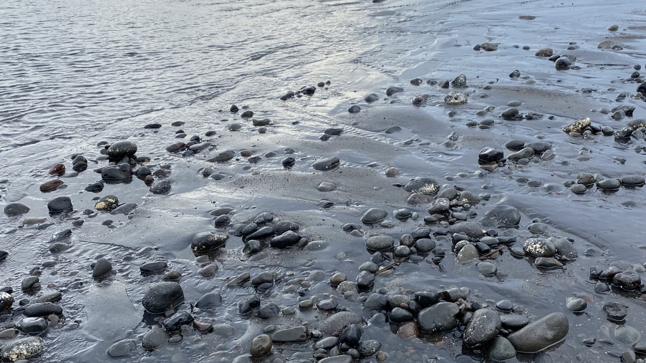 Обои море, мадфлэт, вода, прилив, пляж в разрешении 1280x720