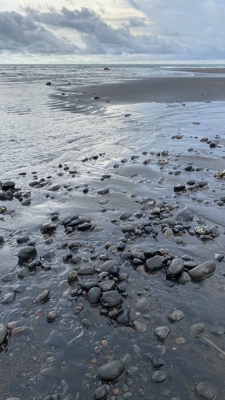 Обои море, мадфлэт, вода, прилив, пляж в разрешении 720x1280