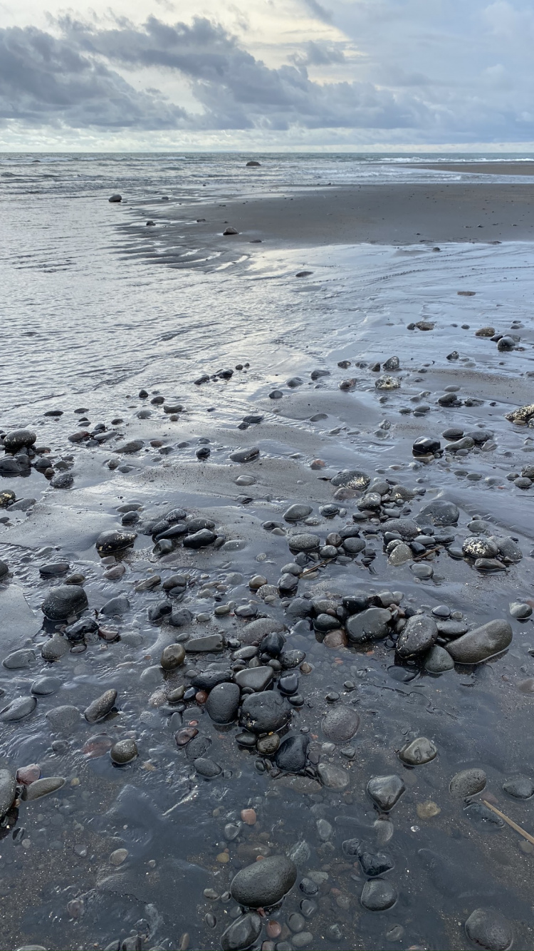 Обои море, мадфлэт, вода, прилив, пляж в разрешении 750x1334