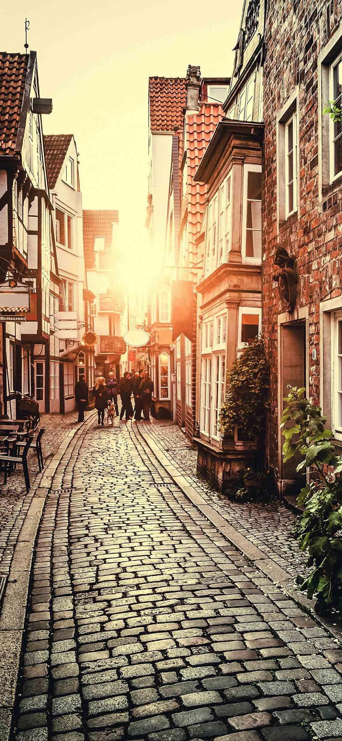 Обои улица, городок, соседство, дорога, аллея в разрешении 1125x2436