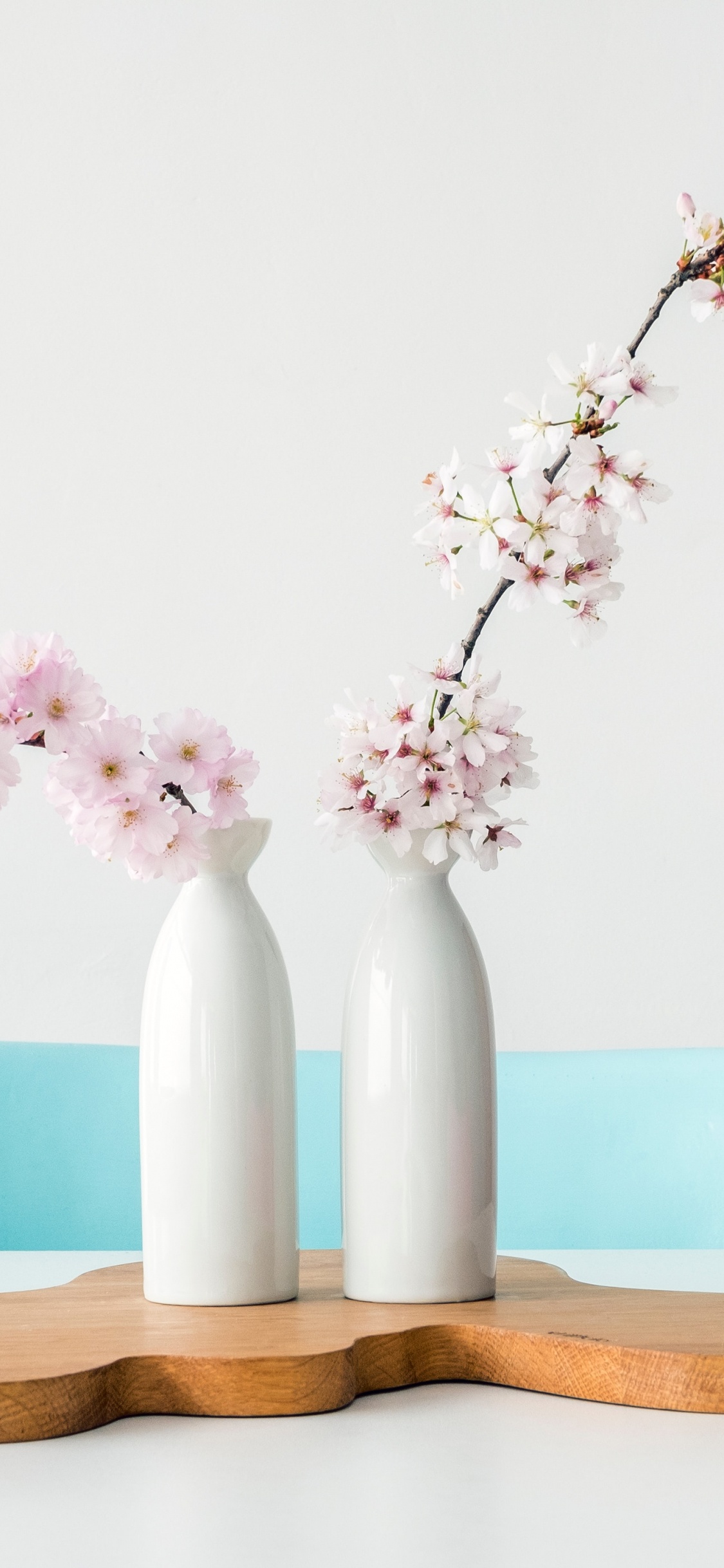 Обои быть уверенным в себе, цветок, ваза, растение, таблица в разрешении 1125x2436