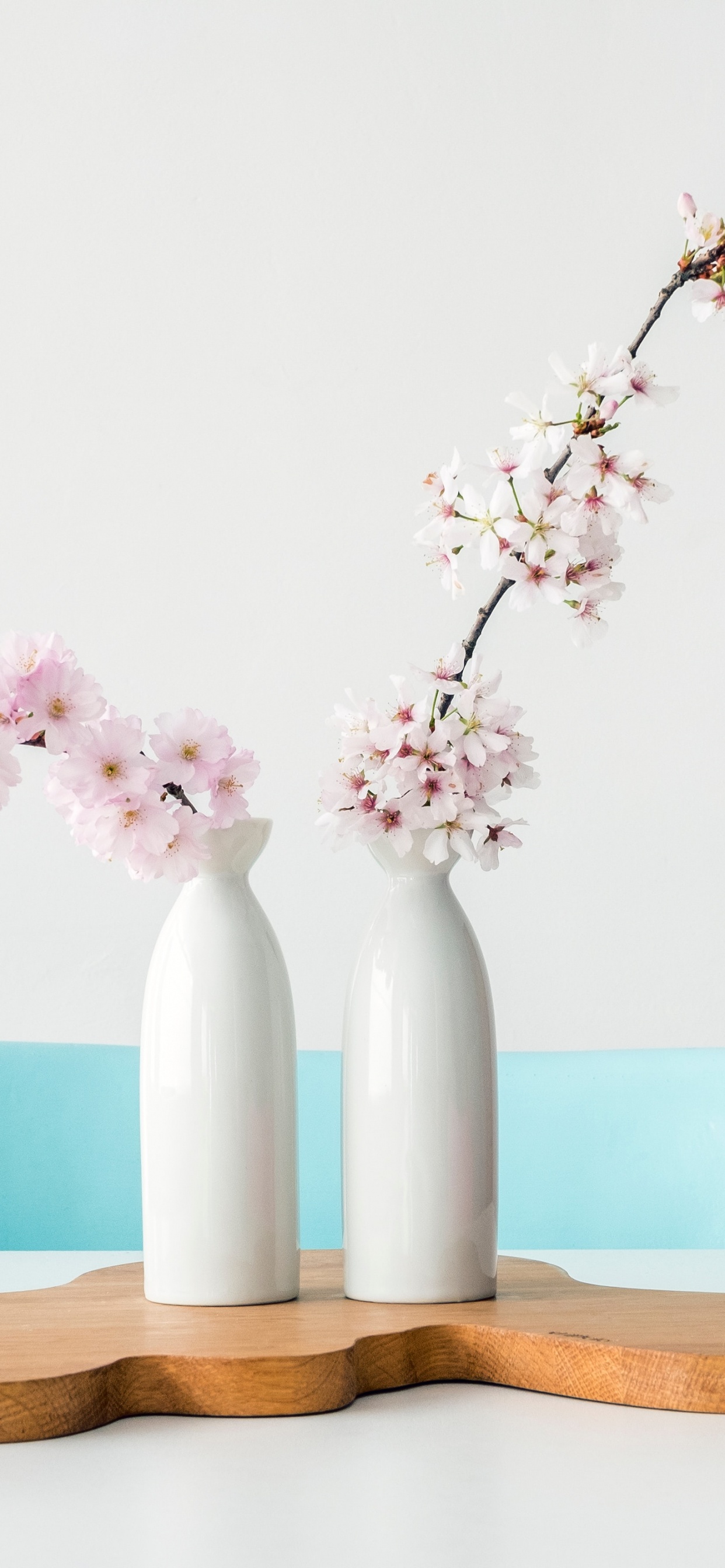 Обои быть уверенным в себе, цветок, ваза, растение, таблица в разрешении 1242x2688