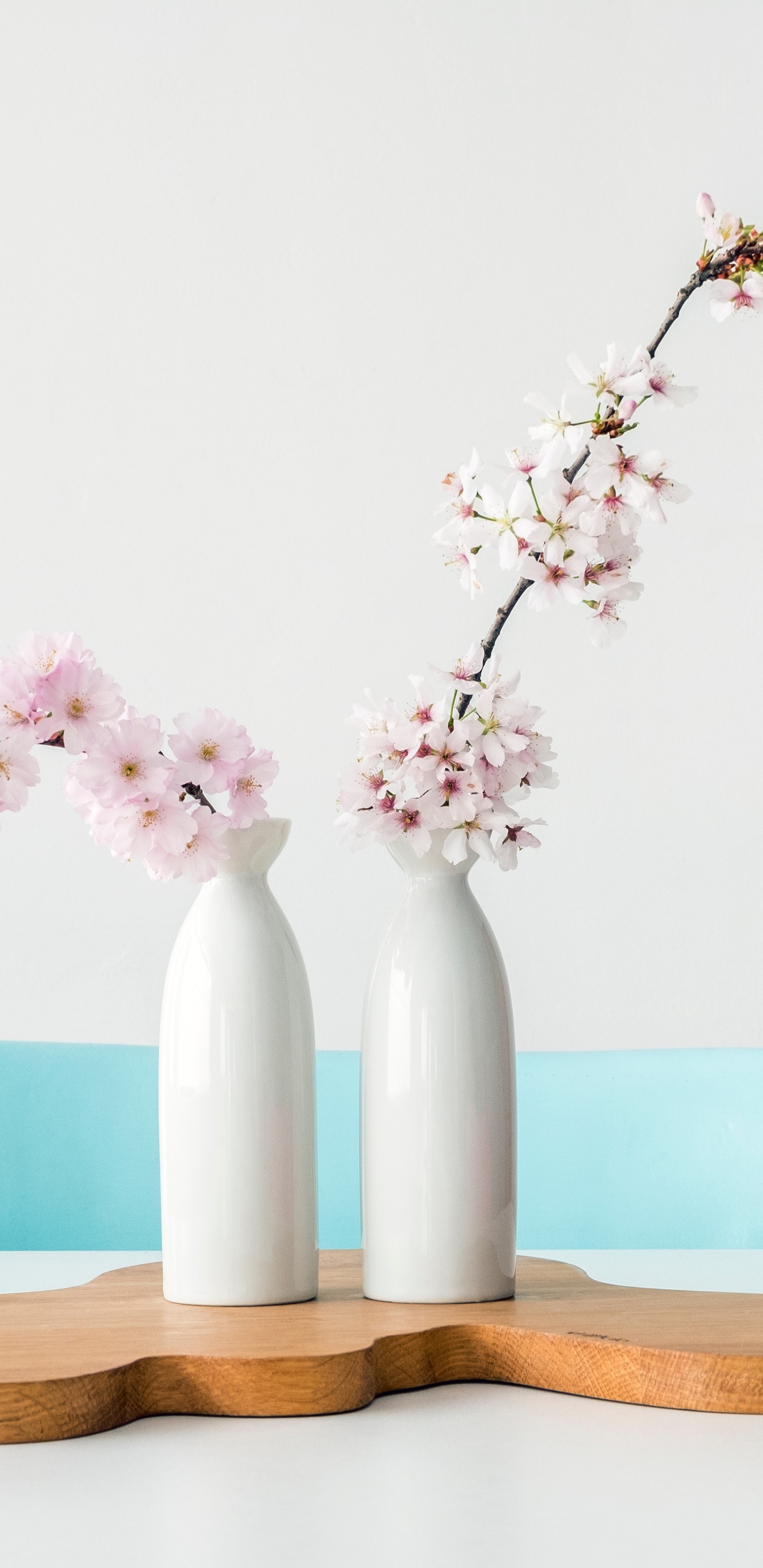 Обои быть уверенным в себе, цветок, ваза, растение, таблица в разрешении 1440x2960