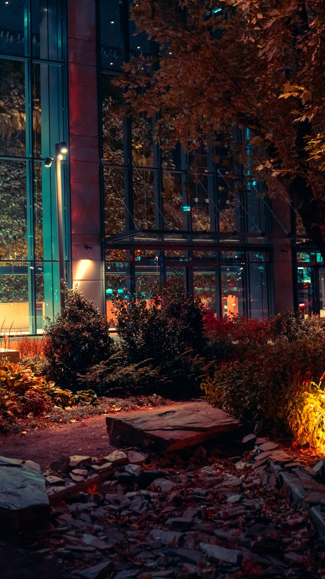 Обои ночь, здание, городской пейзаж, будущее, растение в разрешении 1080x1920