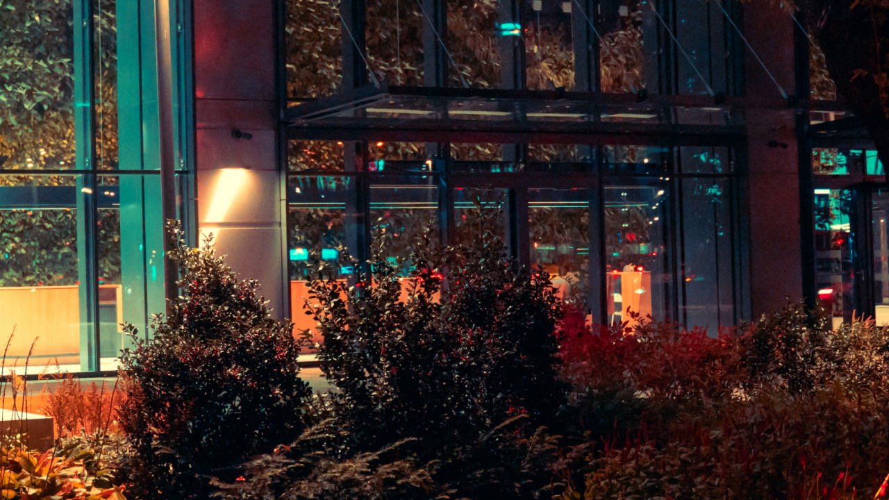 Обои ночь, здание, городской пейзаж, будущее, растение в разрешении 1280x720