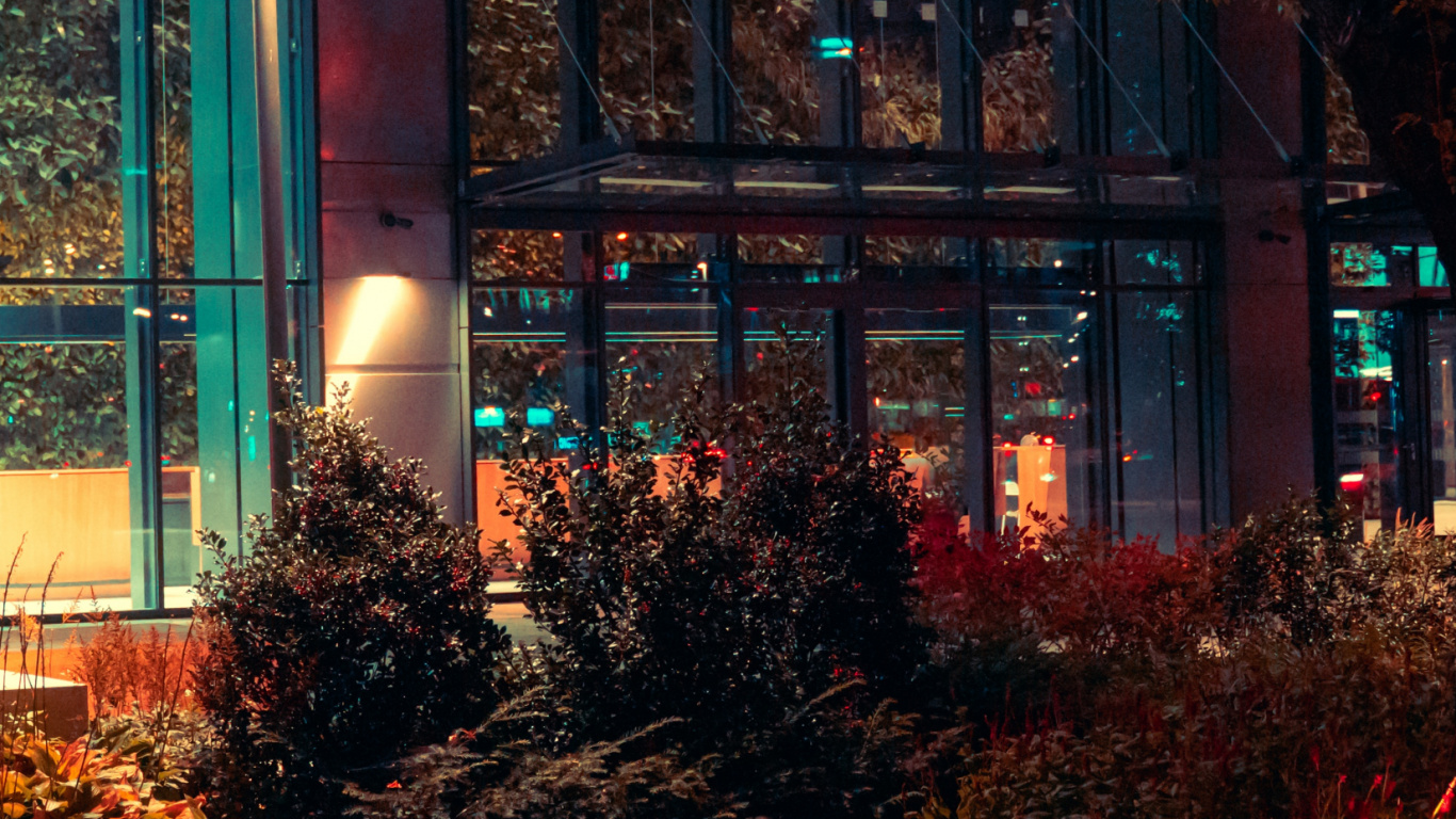 Обои ночь, здание, городской пейзаж, будущее, растение в разрешении 1366x768