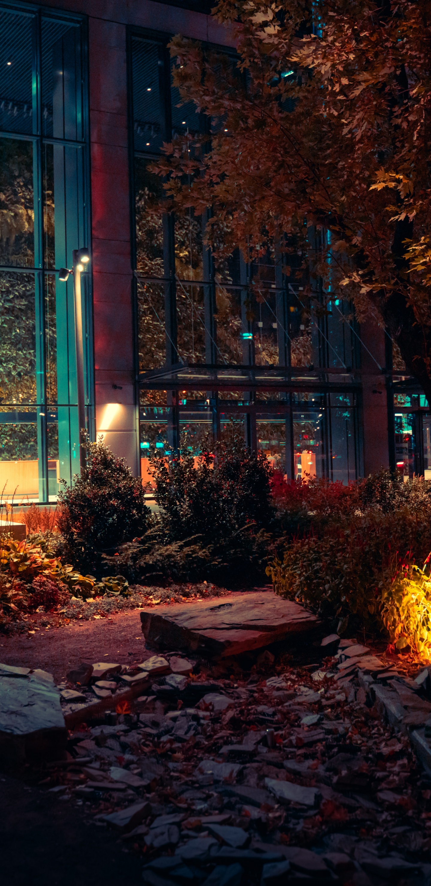 Обои ночь, здание, городской пейзаж, будущее, растение в разрешении 1440x2960