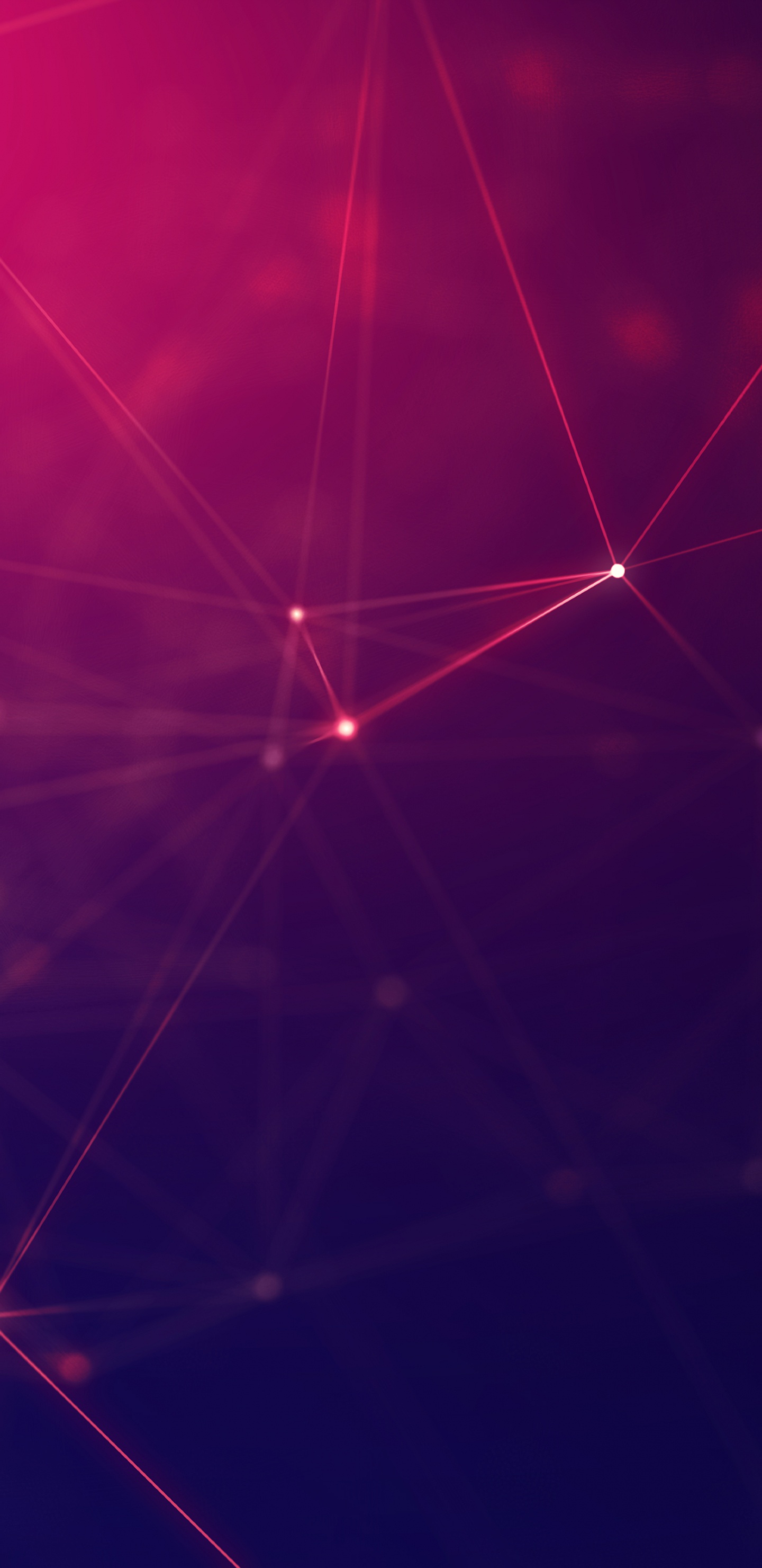 Обои синий, свет, красный цвет, пурпур, линия в разрешении 1440x2960