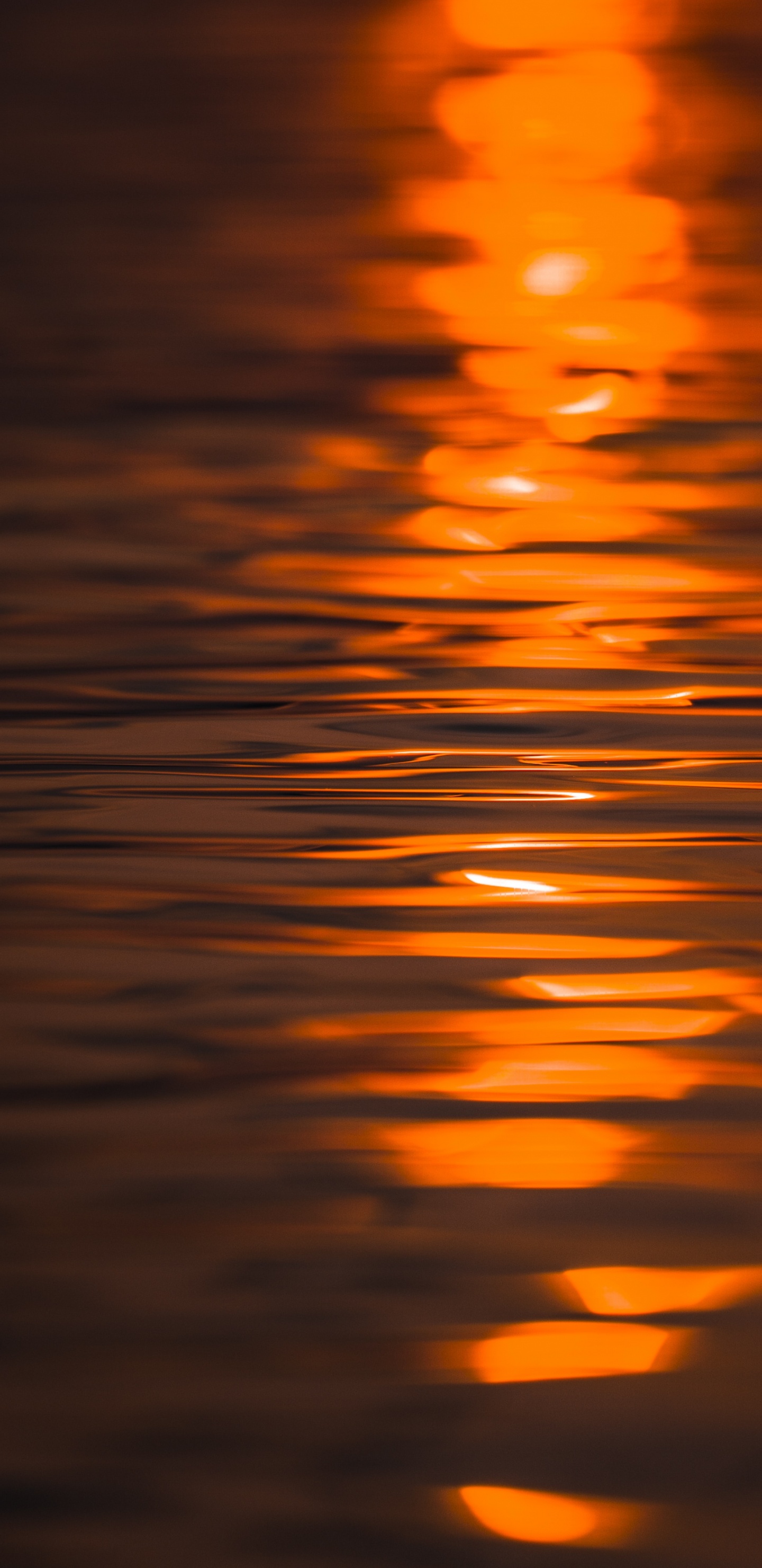 Обои отражение, вода, Апельсин, спокойный, послесвечение в разрешении 1440x2960