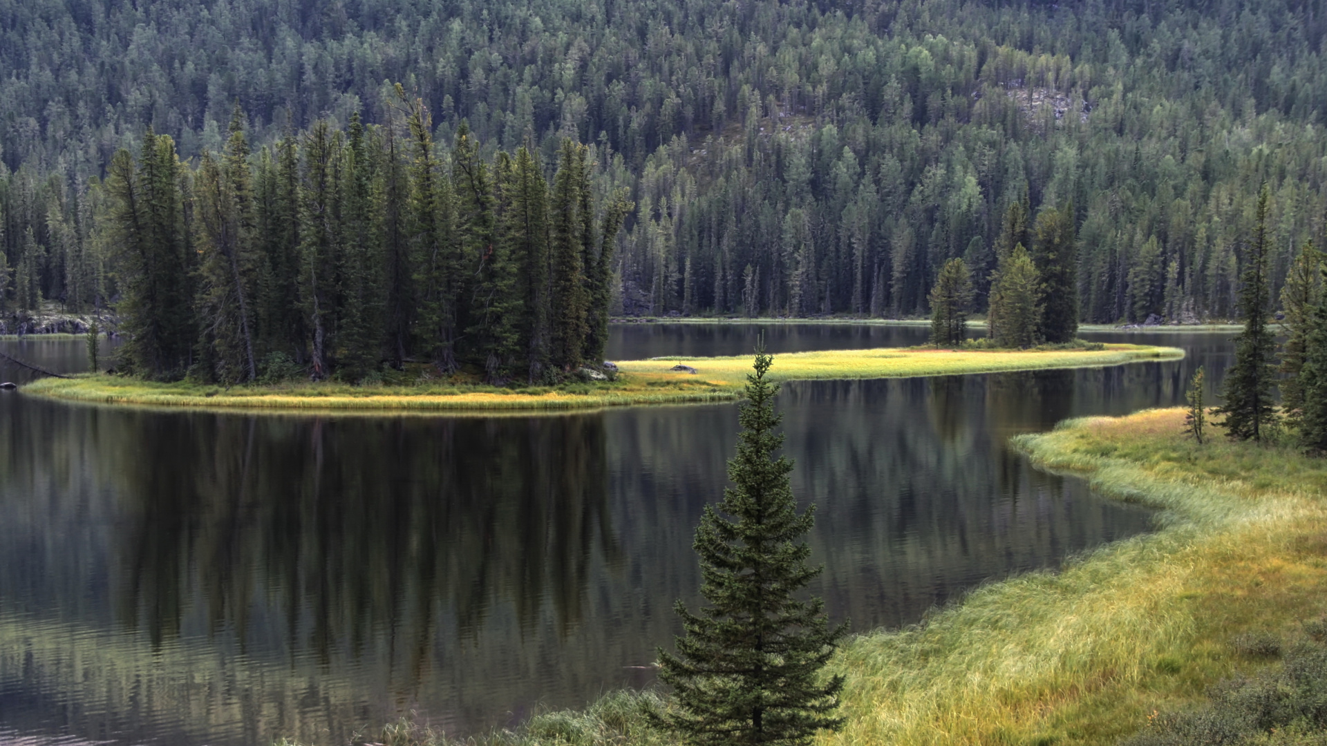 Обои отражение, ель, дерево, пустыня, природа в разрешении 1920x1080