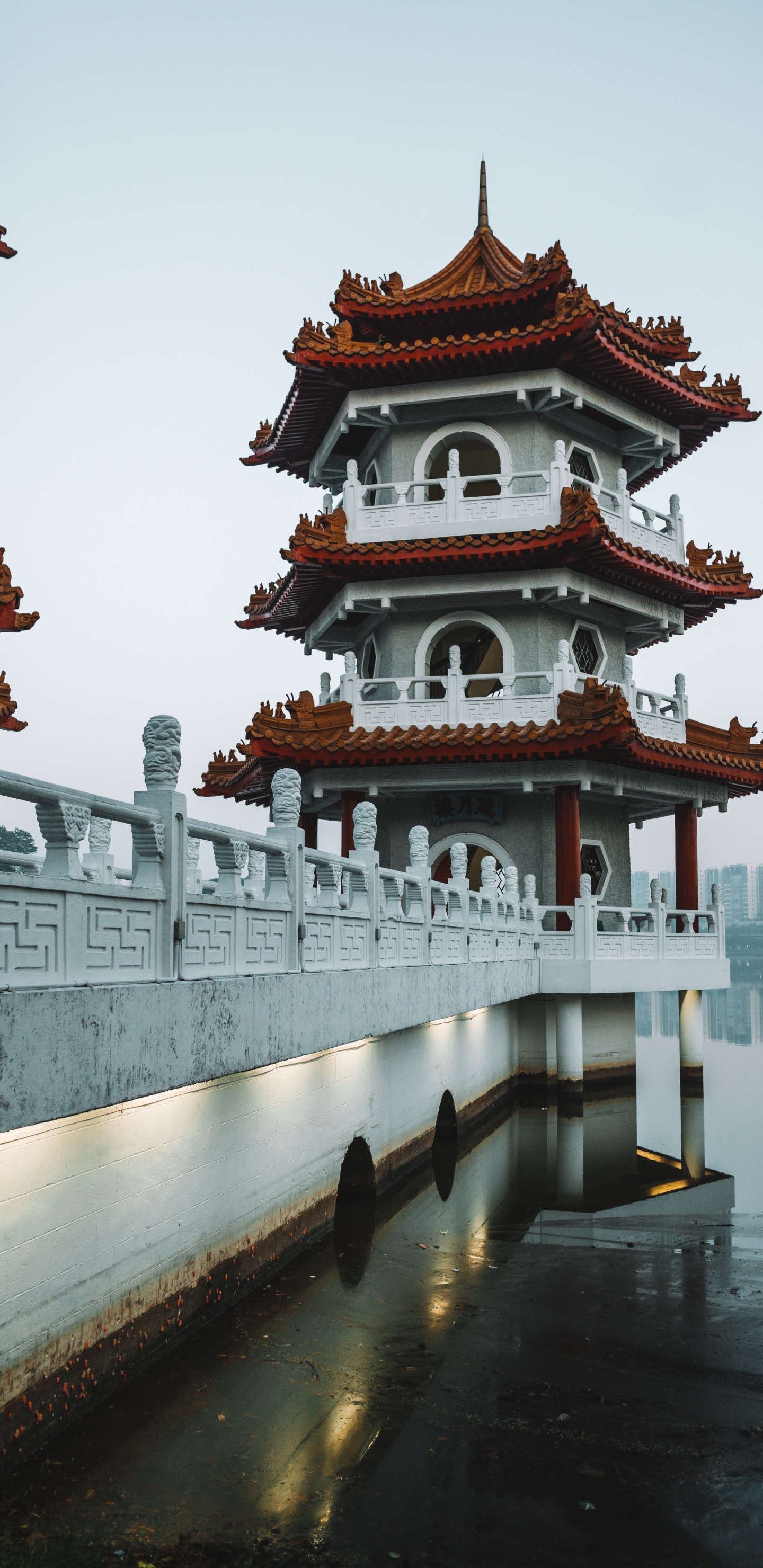 Обои китайский сад, китайская архитектура, японская архитектура, архитектура, пагода в разрешении 1440x2960