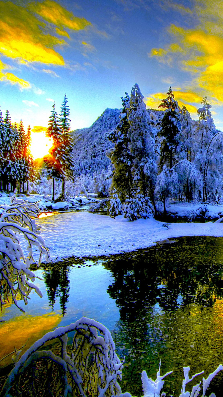 Обои снег, зима, природа, природный ландшафт, отражение в разрешении 750x1334