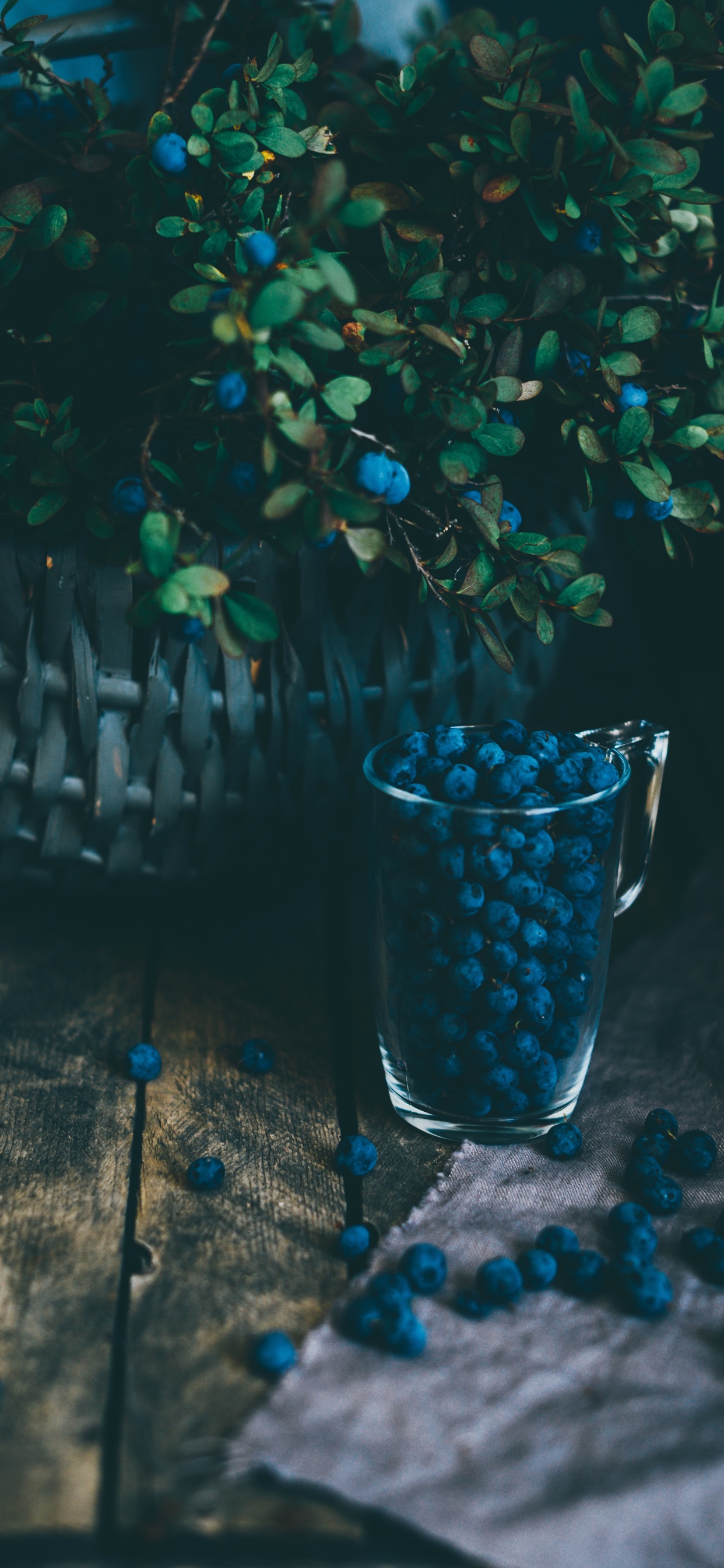 Обои синий, вода, Аква, бирюза, прозрачный материал в разрешении 1242x2688