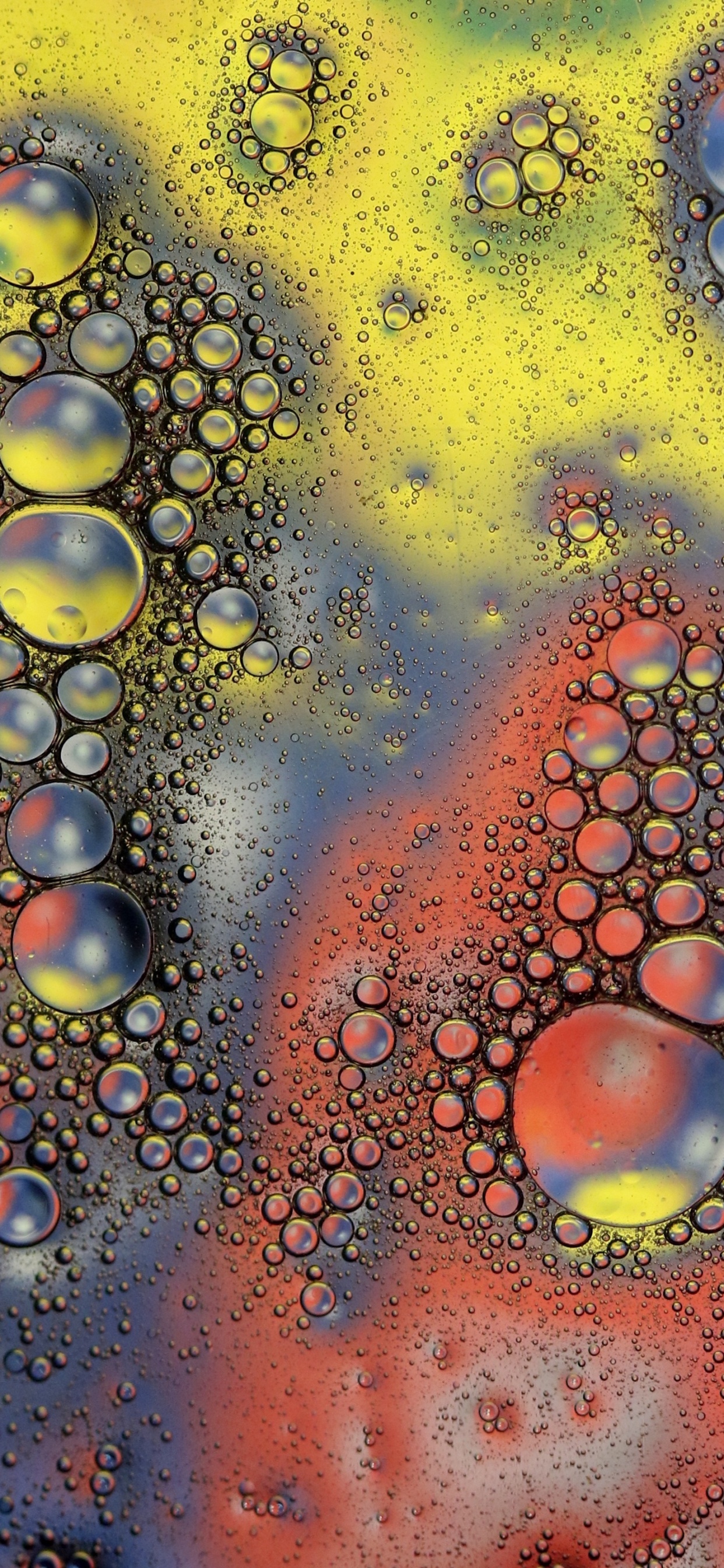 Обои фрактальное искусство, вода, арт, психоделическое искусство, круг в разрешении 1242x2688