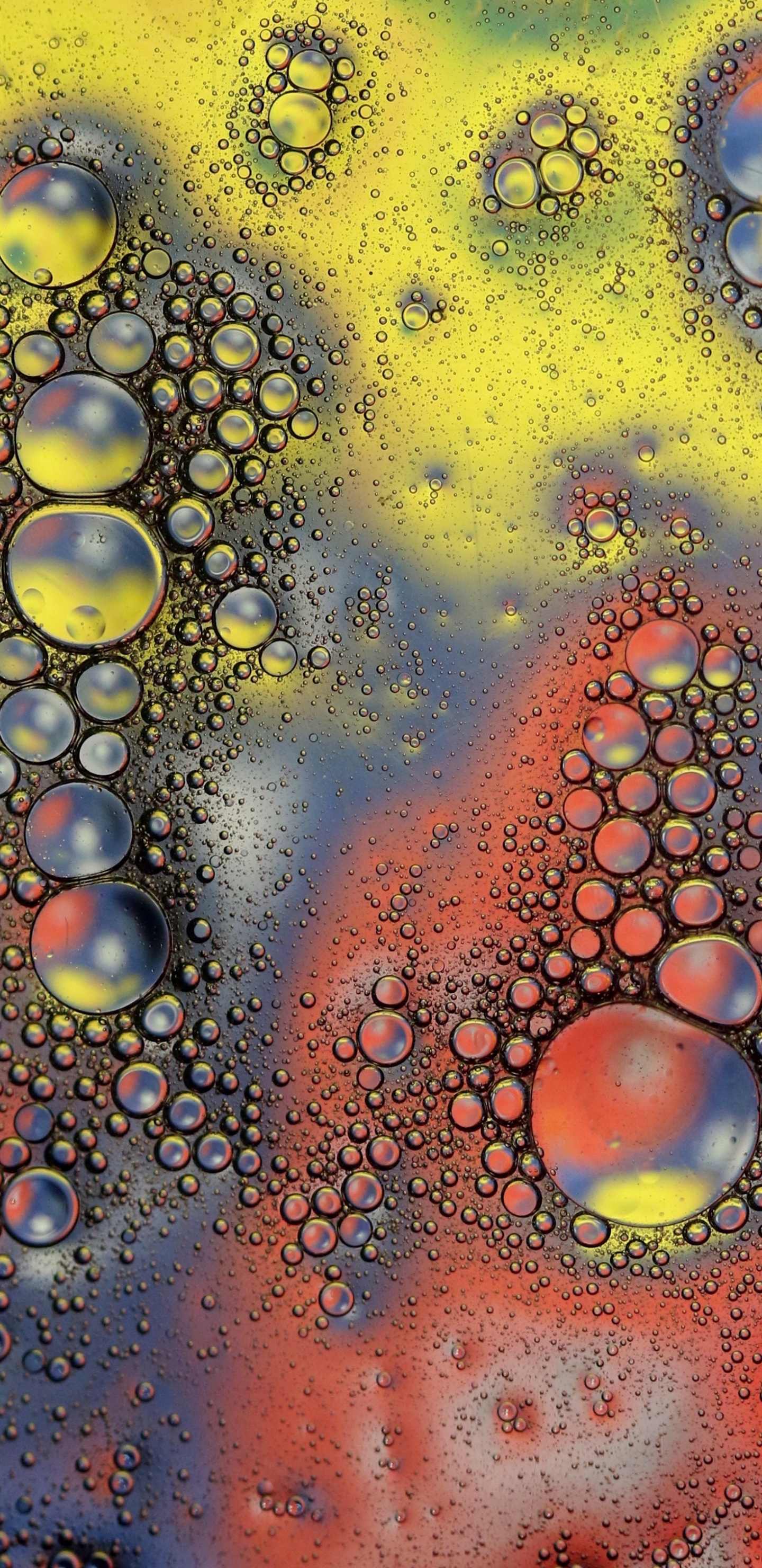 Обои фрактальное искусство, вода, арт, психоделическое искусство, круг в разрешении 1440x2960