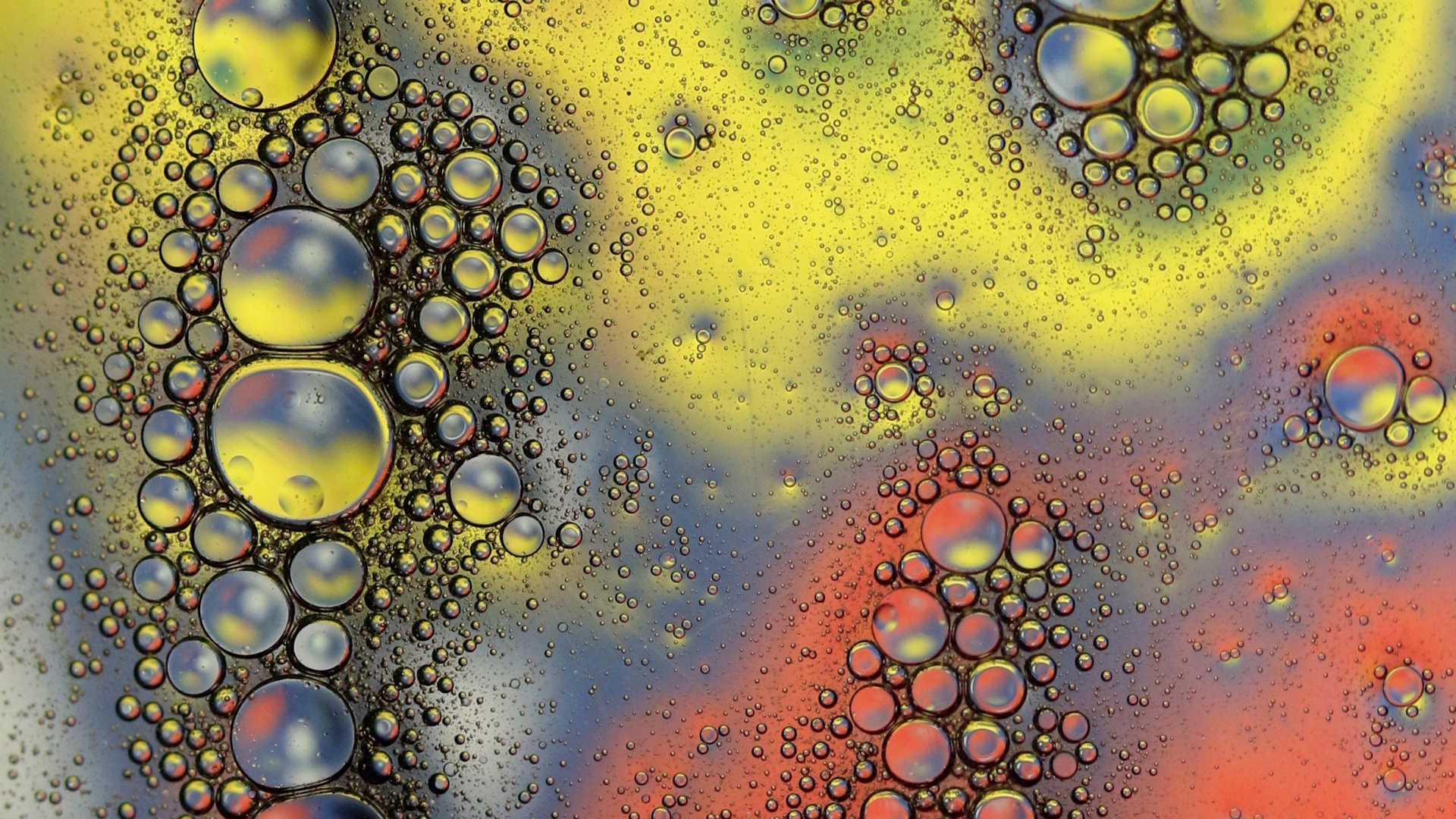 Обои фрактальное искусство, вода, арт, психоделическое искусство, круг в разрешении 1920x1080