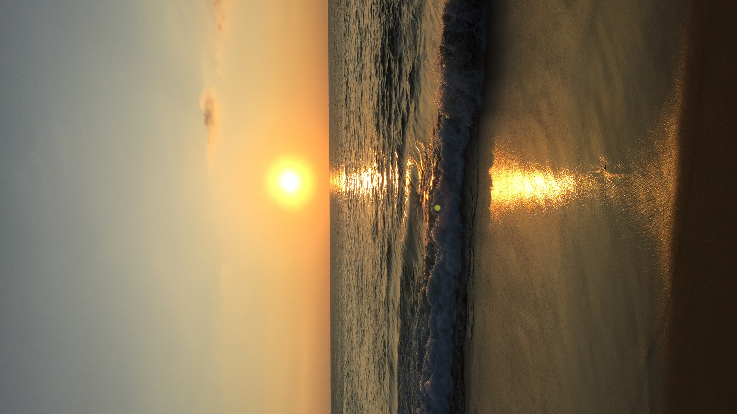 Обои древесина, наука, физика, водоем, жидкость в разрешении 2560x1440