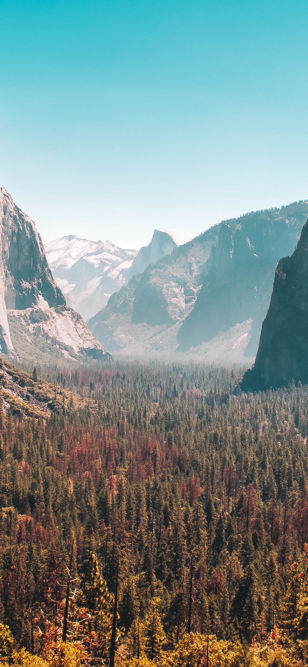 Обои Йосемитский водопад, туннель Вавона, Половина Купола, национальный парк, национальный парк долина смерти в разрешении 1242x2688