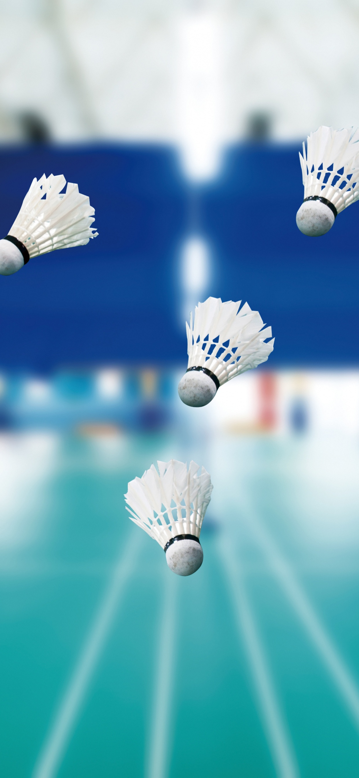 Обои бадминтон, синий, мир, досуг, спортивные объекты в разрешении 1242x2688