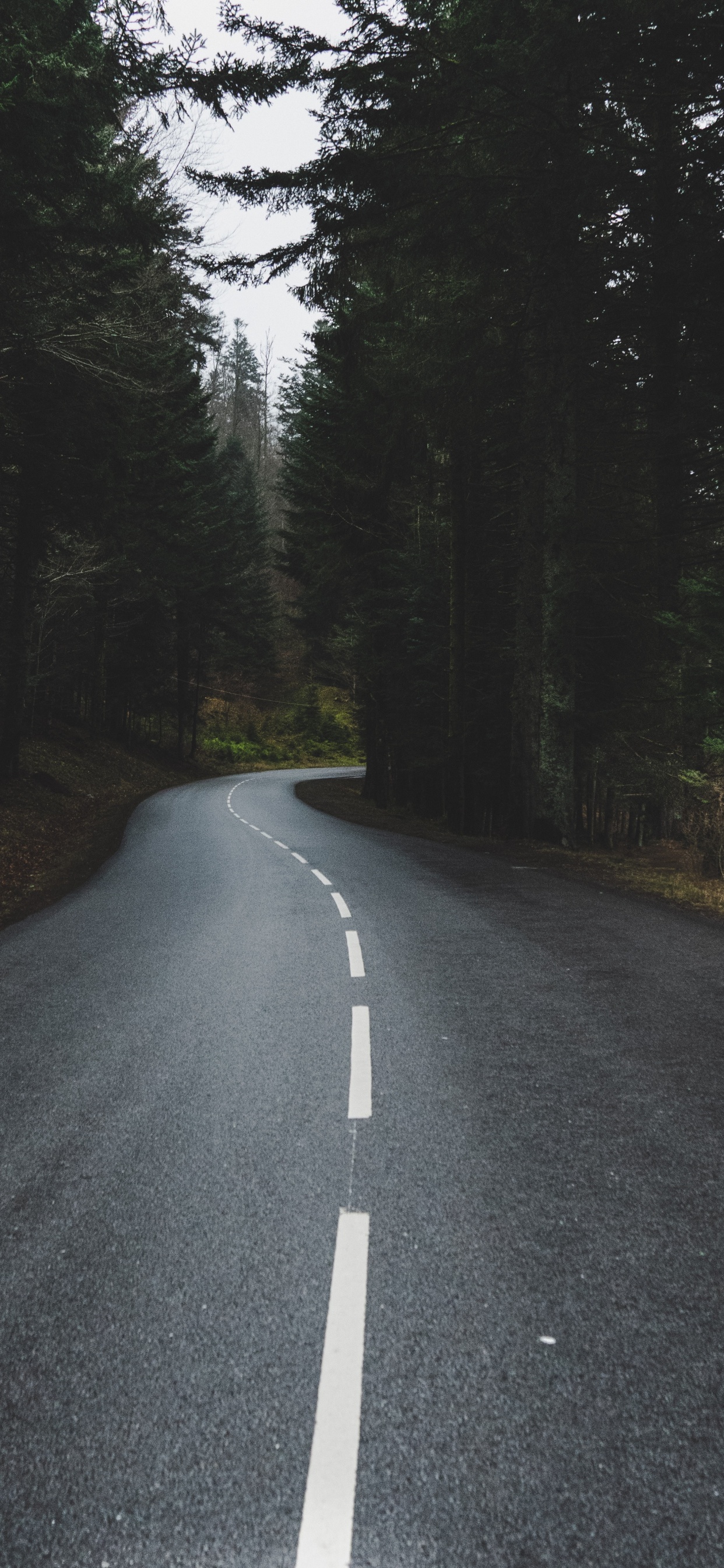 Обои солнечный свет, Король, асфальтобетон, проезд, инфраструктура в разрешении 1242x2688