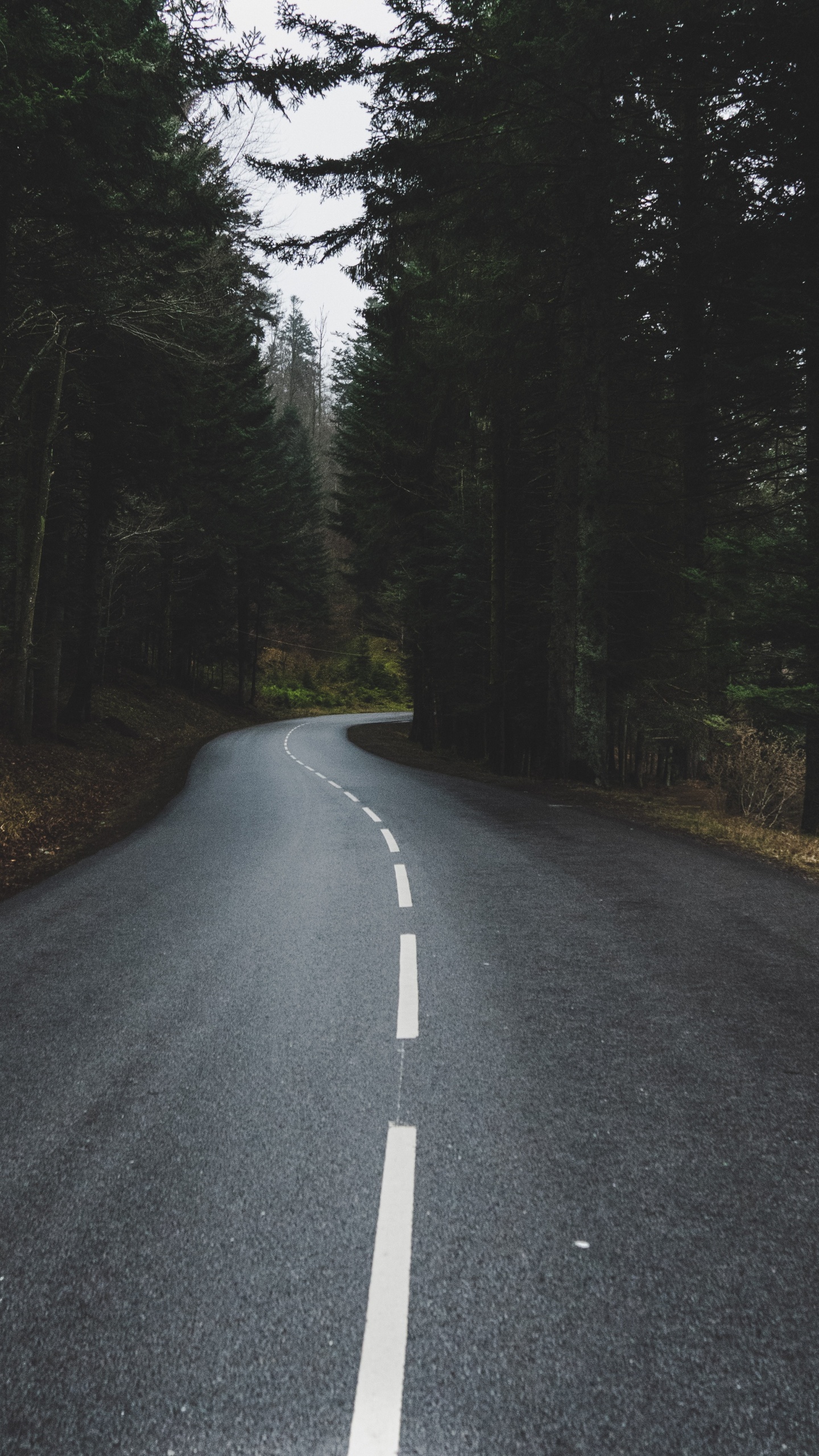 Обои солнечный свет, Король, асфальтобетон, проезд, инфраструктура в разрешении 1440x2560