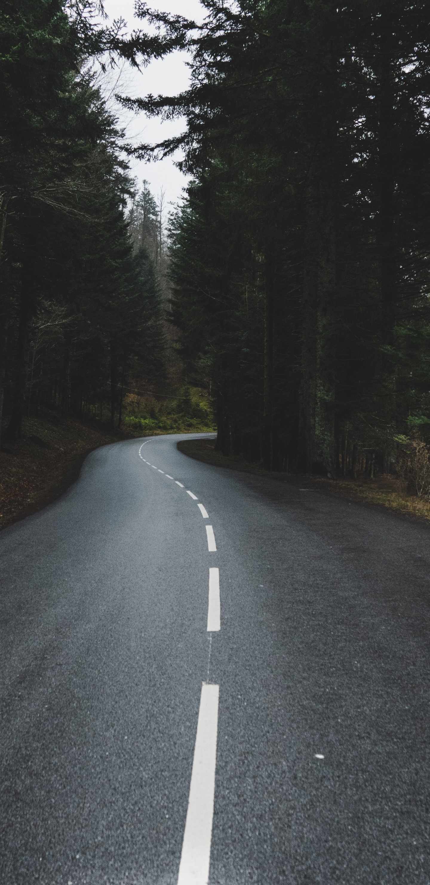 Обои солнечный свет, Король, асфальтобетон, проезд, инфраструктура в разрешении 1440x2960