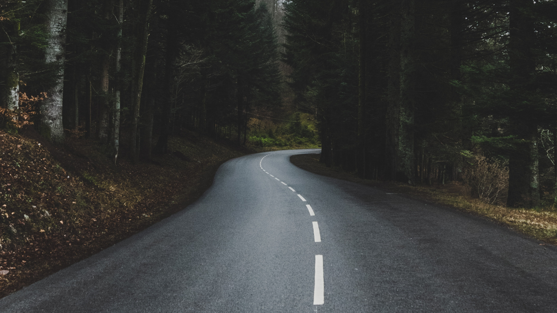 Обои солнечный свет, Король, асфальтобетон, проезд, инфраструктура в разрешении 1920x1080